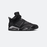 Jordan 6 Retro "Cap & Gown"