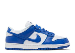 Nike Dunk Low SP Kentucky (2020/2022) (WORN)